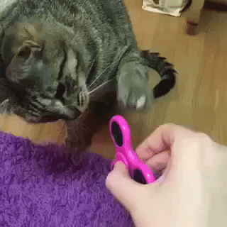 2237ab6a-4a9e-43ac-a7b5-890e301248a4-12252-000002e6f0df5795