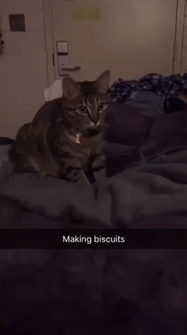 dc1ab2a6-d49e-4589-ac81-04c53bf0060a-12252-000002e7f03efc53