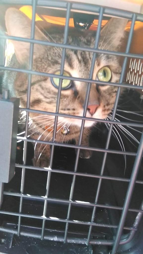 28954654_1615551728561100_3476290394241151587_o